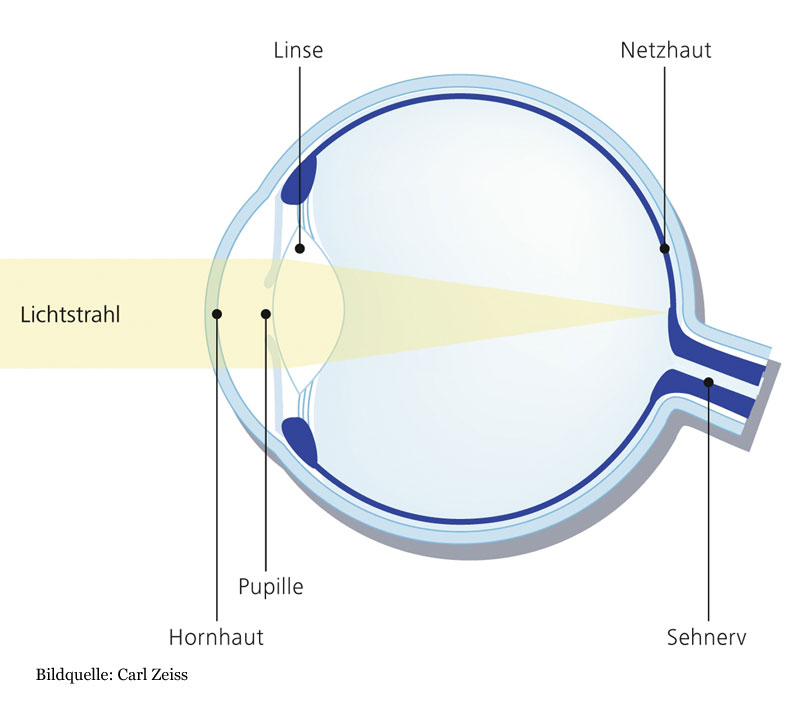 Augenarztpraxis Margarete Pasternak Augenerkrankungen